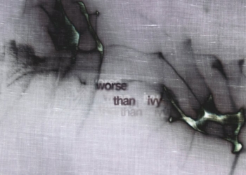 Worse Than Ivy: a Forte Marghera una mostra collettiva internazionale con studenti provenienti da Venezia, Dresda e Vienna