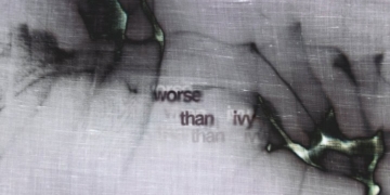 Worse Than Ivy: a Forte Marghera una mostra collettiva internazionale con studenti provenienti da Venezia, Dresda e Vienna