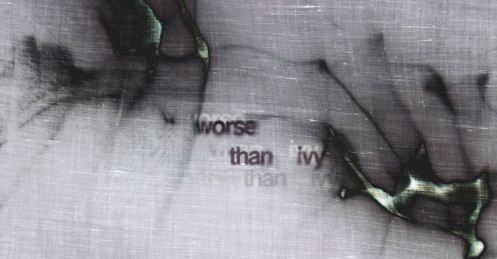 Worse Than Ivy: a Forte Marghera una mostra collettiva internazionale con studenti provenienti da Venezia, Dresda e Vienna