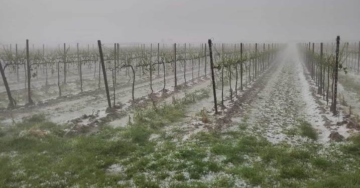 Piogge e grandine sul Veneto. Il timore degli agricoltori