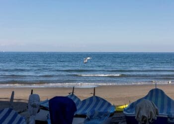 Uno sguardo sul ponente della Liguria