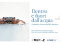 Venezia racconta il respiro della laguna: al museo di storia “Dentro e fuori dall’acqua. L’ambiente di marea dell’Alto Adriatico”