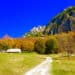 Matinée con Pauliverse domenica 12 luglio a Chies d’Alpago: a Pian Formosa un concerto all’alba per il faggio secolare e il tradizionale raduno degli Alpini