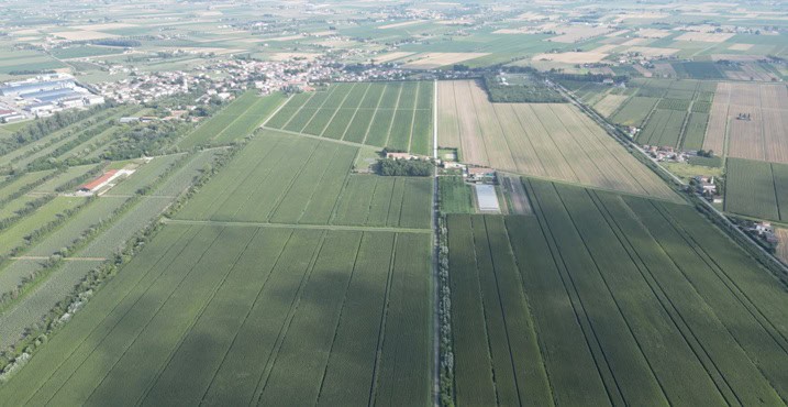 A Cona La Tenuta Civrana