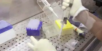 Tirelli: “Vaccinate i  vostri figli, li salvate, non date ascolto alle bufale no-vax”