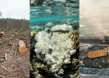 Proteggere la Terra non basta più, bisogna curarla con la Restoration Ecology