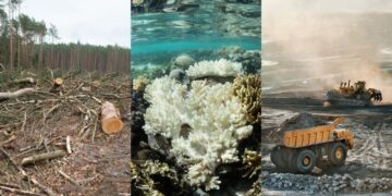 Proteggere la Terra non basta più, bisogna curarla con la Restoration Ecology