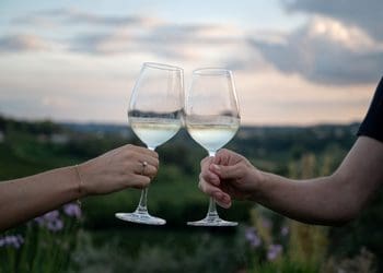 Il clima è cambiato, allora da Sarah sulle colline si vendemmia di notte!