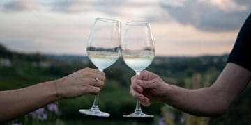 Il clima è cambiato, allora da Sarah sulle colline si vendemmia di notte!