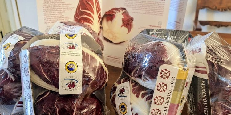 Zevio celebra i sapori della pianura veronese: il Radicchio d’Argento incontra la Fiera della Mela