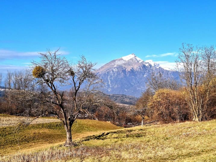 Tutto è nel bosco, e poi c’è Valdisasso