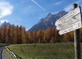Bad Moos: aperto anche in novembre