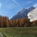 Bad Moos: aperto anche in novembre