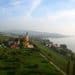 Passeggiate, degustazioni nelle cantine, tour in nave e festival gastronomici: la stagione del foliage nella regione internazionale del Lago di Costanza