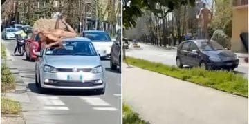 Perché la cronaca è affollata di matti (veri, presunti e falsi)?